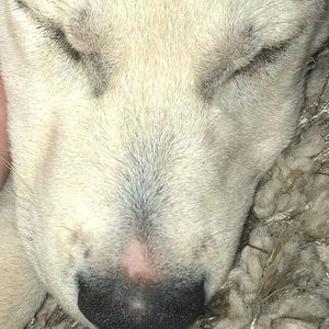 Meet your Posher, Hope